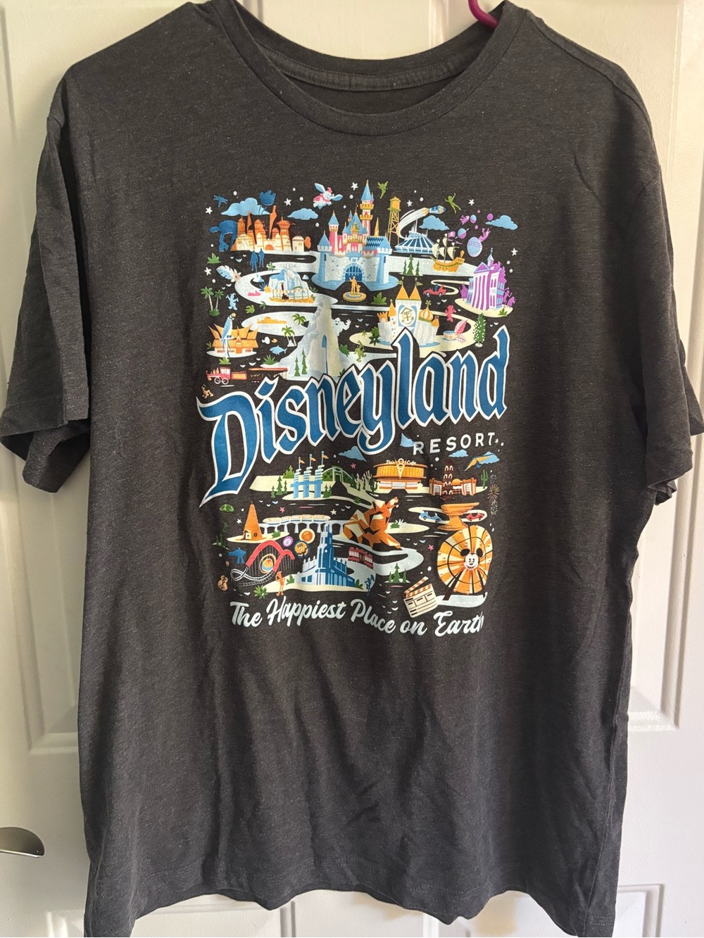 Disneyland Resort Gray Park Rides T-Shirt